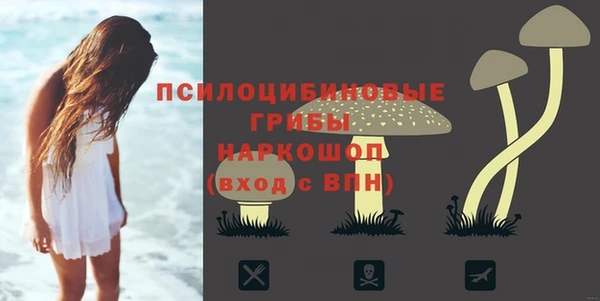 таблы Алзамай
