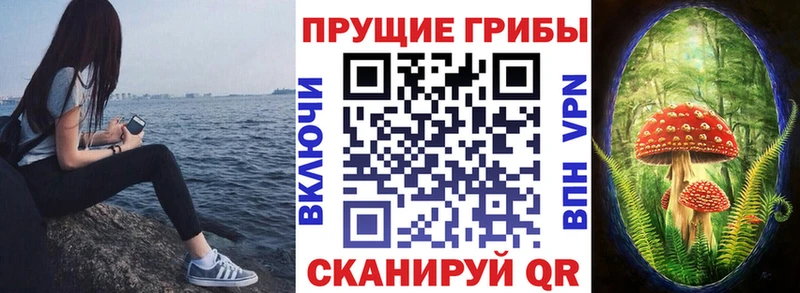 Псилоцибиновые грибы прущие грибы  Тобольск 